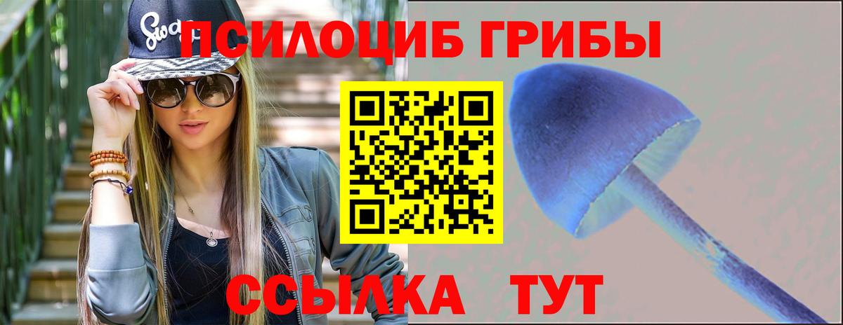 Галлюциногенные грибы Magic Shrooms  Вход с VPN  где можно купить   Галлюциногенные грибы ЛСД  Якутск 